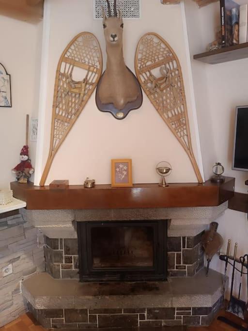 Pena Telera Petfriendly - Arafita Apartamentos El Pueyo de Jaca Exterior foto
